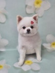 두리멍실