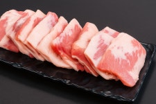 돼지대첩 안성 아양점