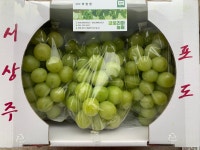 더글로리아농장