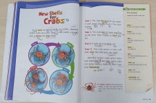 엘리사영어학원