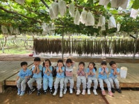 푸른솔어린이집