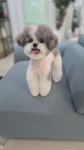 쁘띠멍