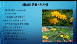 하라힐즈 군산나운점