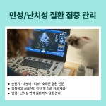 큰별동물의료원