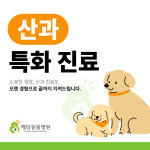 해담동물병원