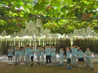 푸른솔어린이집