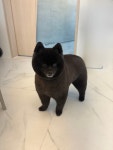 미니멍살롱