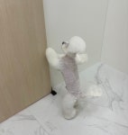 미니멍살롱