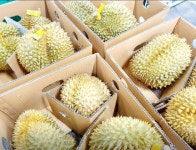 오케이 아시아마트