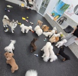 봉봉멍스쿨 애견유치원 애견호텔 애견미용