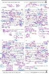 아셀OMC중고등영어학원