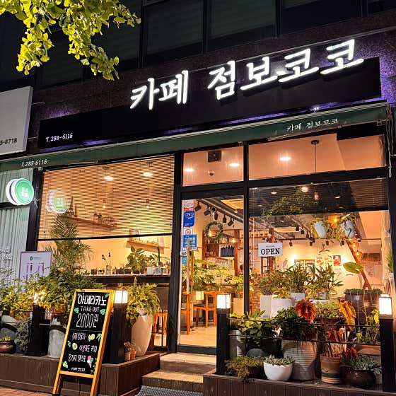 점보코코 사진