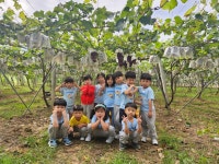 푸른솔어린이집