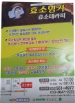 효소명가