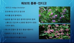 하라힐즈 군산나운점