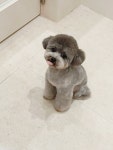 까만콩쌀알
