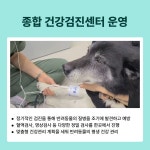 큰별동물의료원