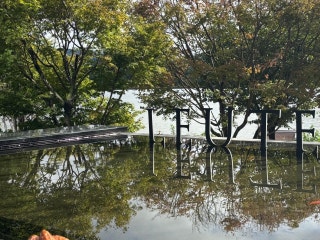 로이테