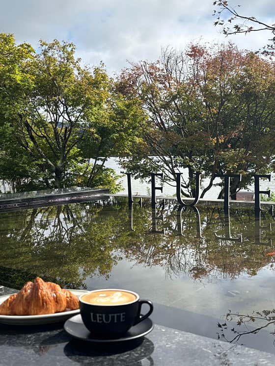 로이테 사진