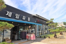 제일유통