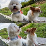 헬로우버디 광교점