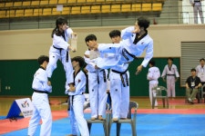 아리랑 멋 타리 태권도장