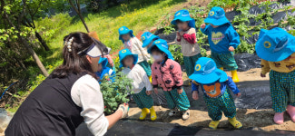 나무숲어린이집