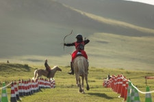대가야기마문화체험장