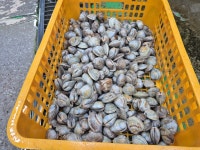 시흥해풍바지라기칼국수