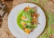 오스테리아다니