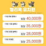 켈리독 강남 애견호텔 애견유치원