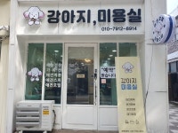 강아지 미용실