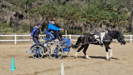 대가야기마문화체험장