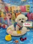 엄쌤네일 안산본점