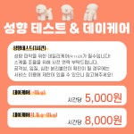 켈리독 강남 애견호텔 애견유치원