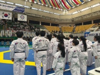 아리랑 멋 타리 태권도장