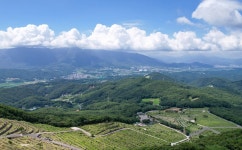 솥발산공원묘원