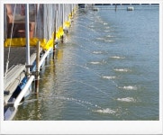 사각지유료낚시터