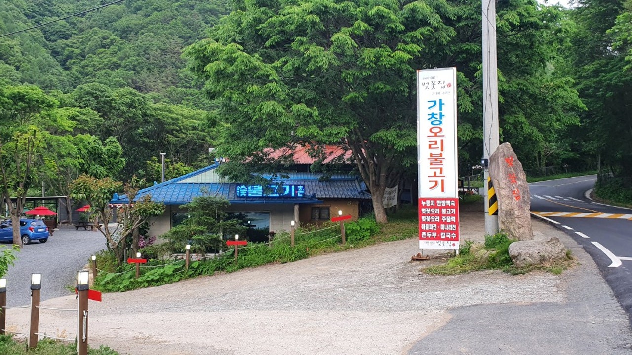 벚꽃집