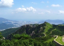 과수원집