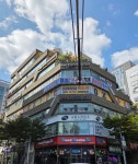 오엑스피씨 정관신도시점