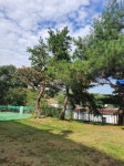 (주)자연머금우신세이프티점 | 자연머뭄