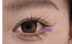 라인아트앤뷰티