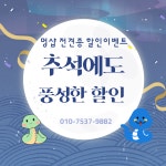 멍샵 강아지분양 인천본점