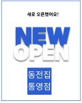 동전집