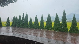 옛뜨락