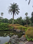 삼달리이야기