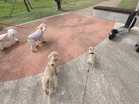 벨르시앙 창원점