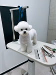 플러플리 FLUFFLY