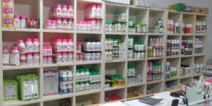 장원종묘농약사